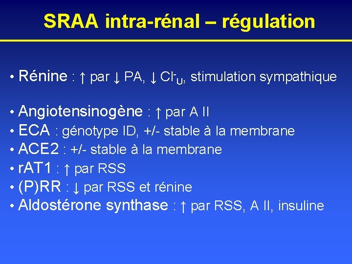 SRAA intra-rénal – régulation • Rénine : ↑ par ↓ PA, ↓ Cl-U, stimulation