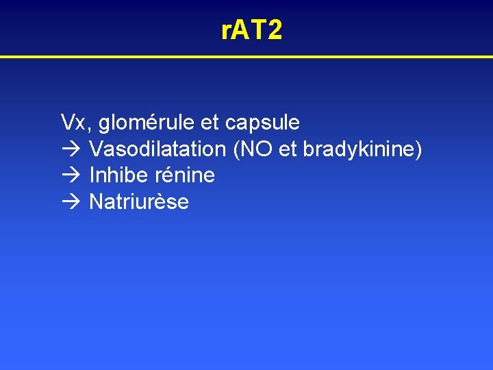 r. AT 2 Vx, glomérule et capsule Vasodilatation (NO et bradykinine) Inhibe rénine Natriurèse