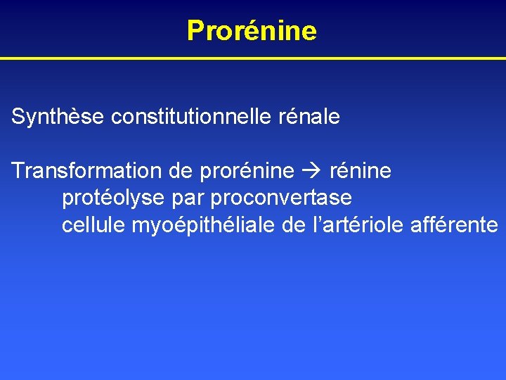 Prorénine Synthèse constitutionnelle rénale Transformation de prorénine protéolyse par proconvertase cellule myoépithéliale de l’artériole
