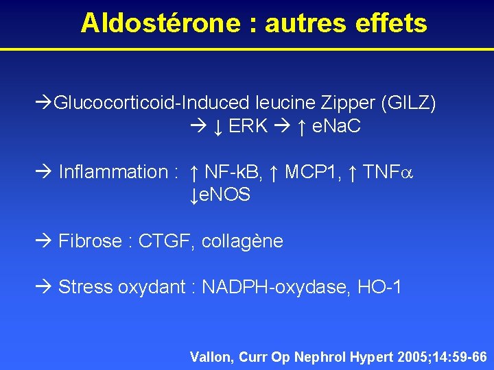 Aldostérone : autres effets Glucocorticoid-Induced leucine Zipper (GILZ) ↓ ERK ↑ e. Na. C