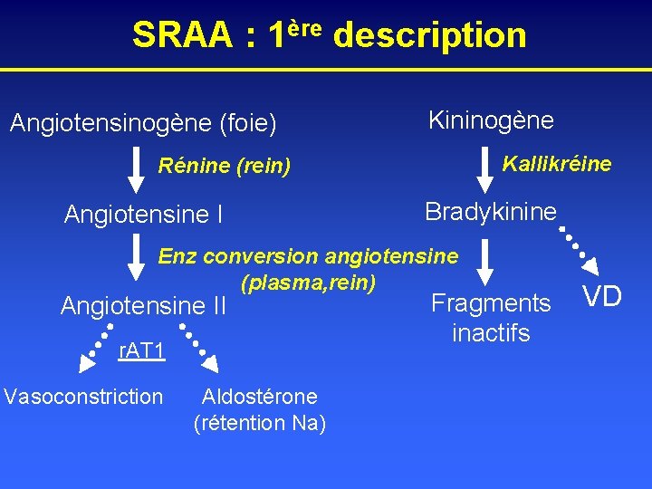SRAA : 1ère description Angiotensinogène (foie) Kininogène Kallikréine Rénine (rein) Angiotensine I Bradykinine Enz