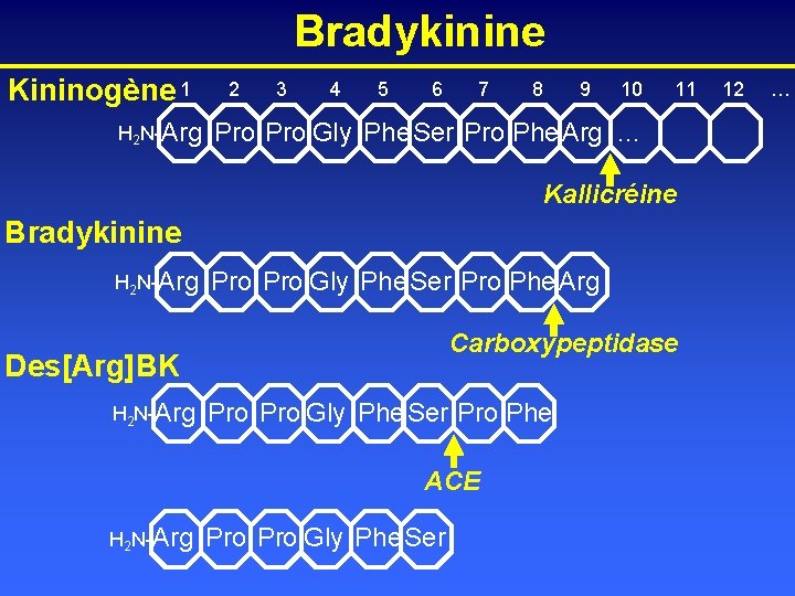 Bradykinine Kininogène 1 H 2 N-Arg 2 3 4 5 6 7 8 9