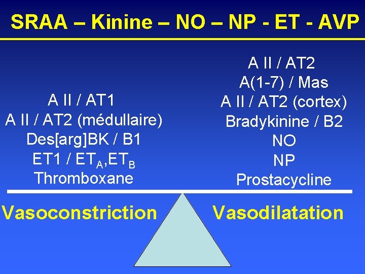 SRAA – Kinine – NO – NP - ET - AVP A II /