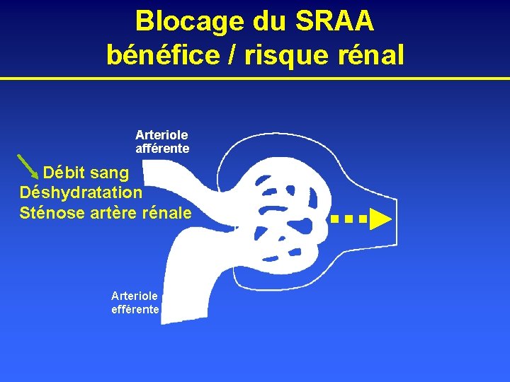 Blocage du SRAA bénéfice / risque rénal Arteriole afférente Débit sang Déshydratation Sténose artère