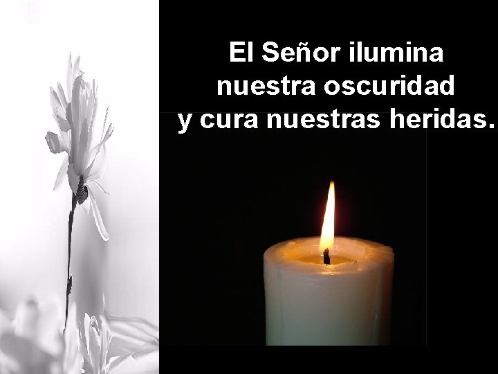 El Señor ilumina nuestra oscuridad y cura nuestras heridas. 