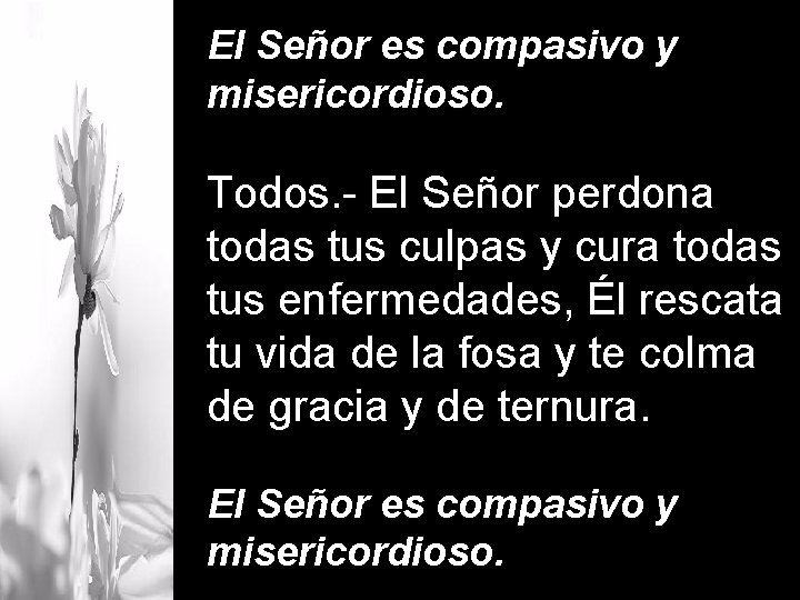 El Señor es compasivo y misericordioso. Todos. - El Señor perdona todas tus culpas