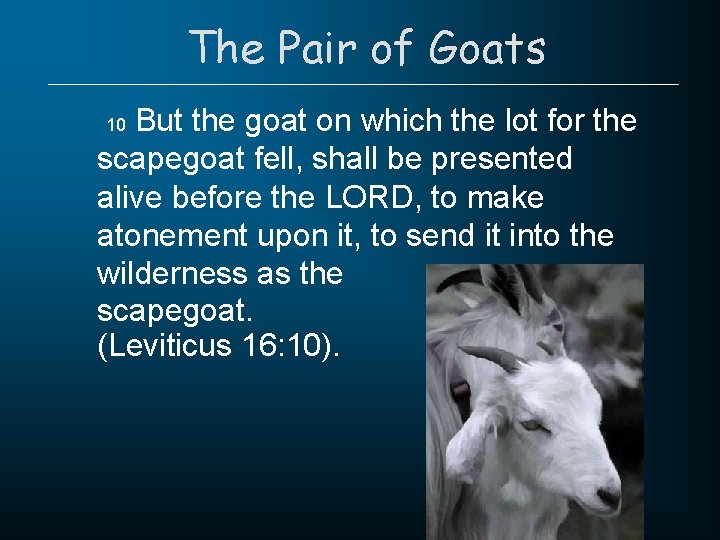 The Pair of Goats But the goat on which the lot for the scapegoat