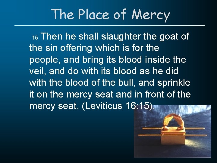 The Place of Mercy Then he shall slaughter the goat of the sin offering