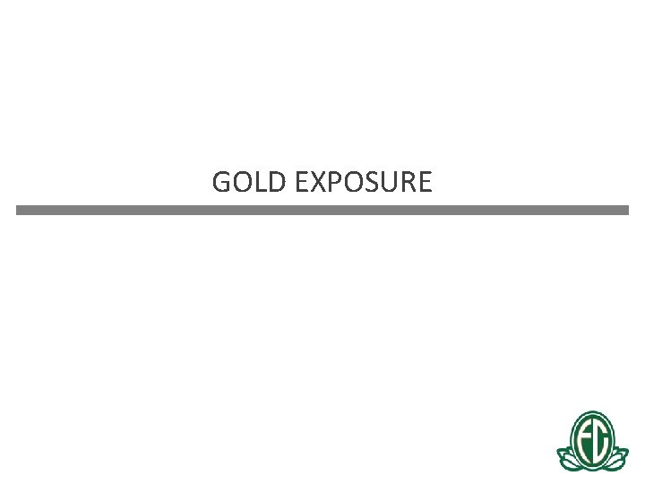 GOLD EXPOSURE 
