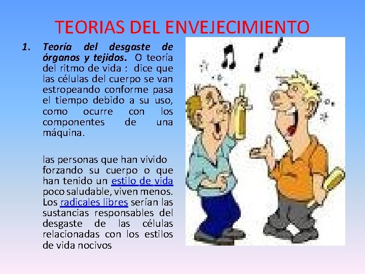 TEORIAS DEL ENVEJECIMIENTO 1. Teoría del desgaste de órganos y tejidos. O teoría del
