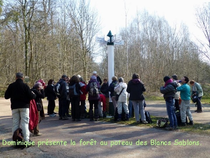 Dominique présente la forêt au poteau des Blancs Sablons. 