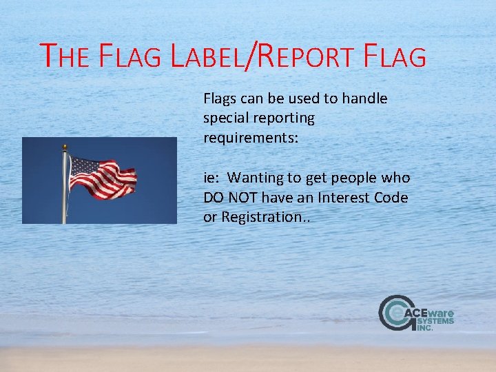 THE FLAG LABEL/REPORT FLAG Flags can be used to handle special reporting requirements: ie: