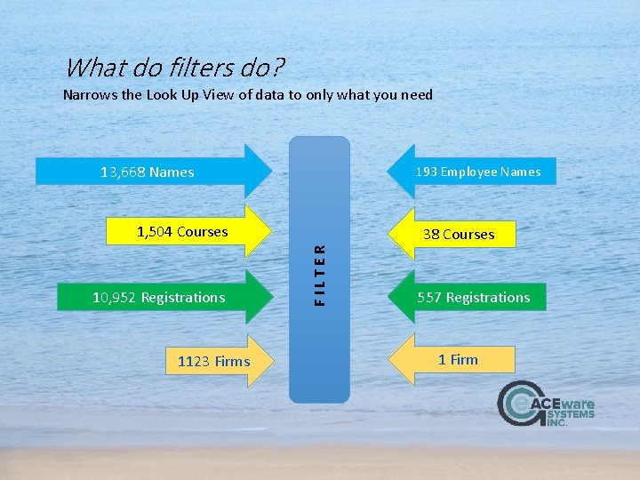 What do filters do? Narrows the Look Up View of data to only what