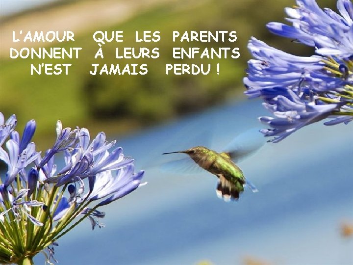 L’AMOUR QUE LES PARENTS DONNENT À LEURS ENFANTS N’EST JAMAIS PERDU ! 