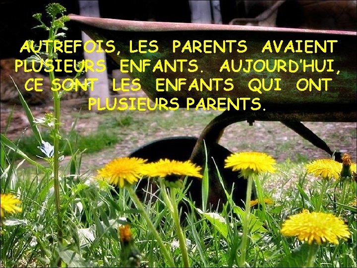 AUTREFOIS, LES PARENTS AVAIENT PLUSIEURS ENFANTS. AUJOURD’HUI, CE SONT LES ENFANTS QUI ONT PLUSIEURS