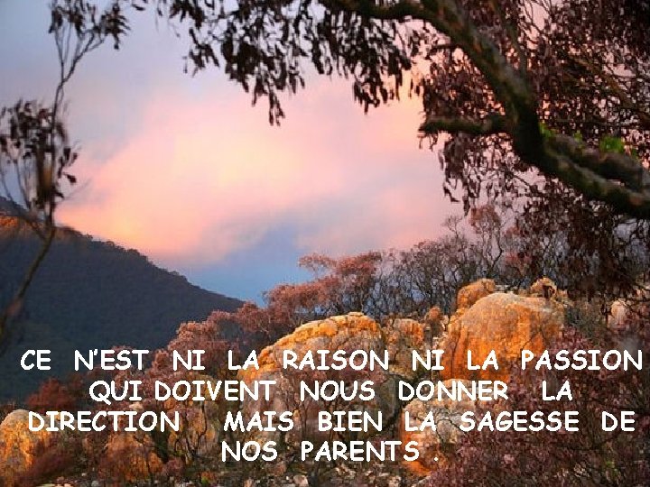 CE N’EST NI LA RAISON NI LA PASSION QUI DOIVENT NOUS DONNER LA DIRECTION