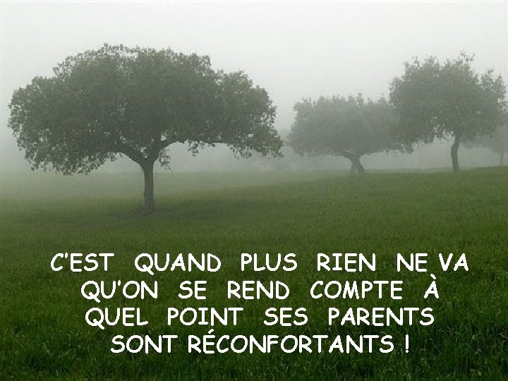 C’EST QUAND PLUS RIEN NE VA QU’ON SE REND COMPTE À QUEL POINT SES