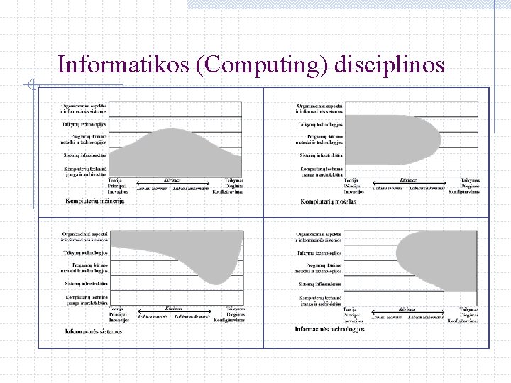 Informatikos (Computing) disciplinos 
