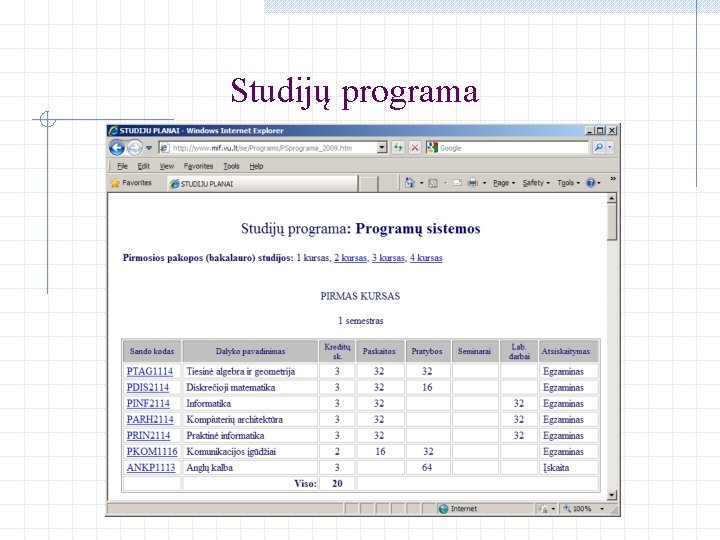 Studijų programa 