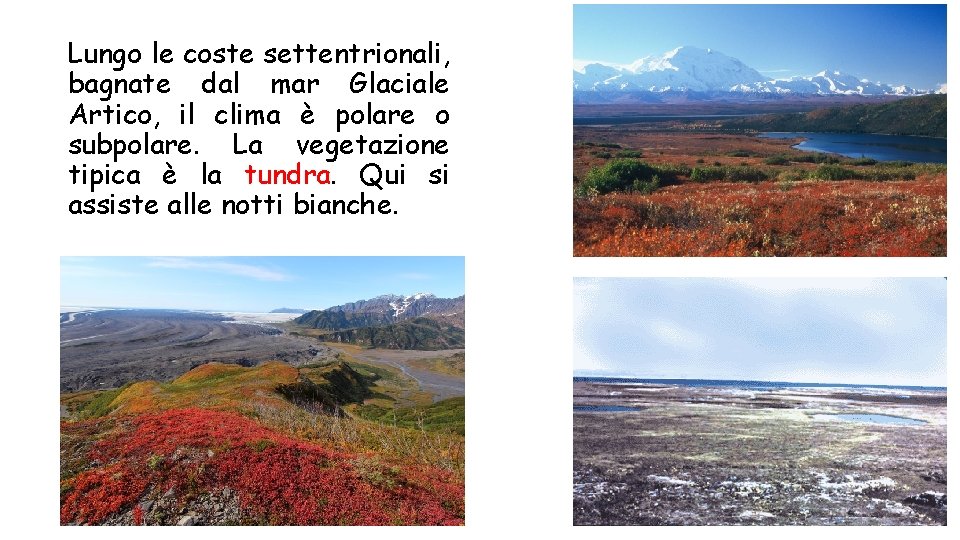 Lungo le coste settentrionali, bagnate dal mar Glaciale Artico, il clima è polare o