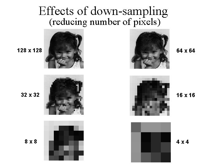 Effects of down-sampling (reducing number of pixels) 128 x 128 64 x 64 32