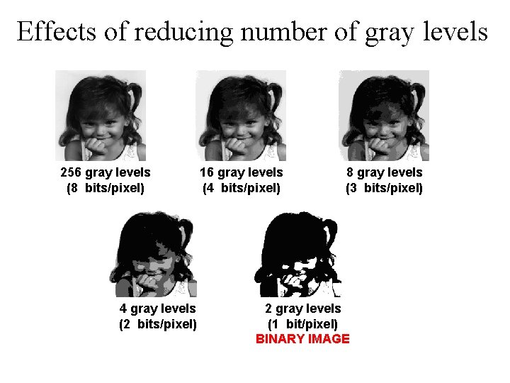 Effects of reducing number of gray levels 256 gray levels (8 bits/pixel) 4 gray