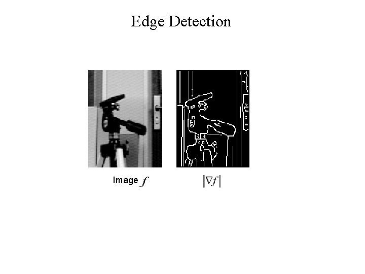 Edge Detection Image 