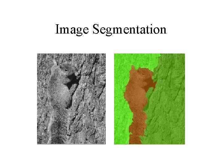 Image Segmentation 