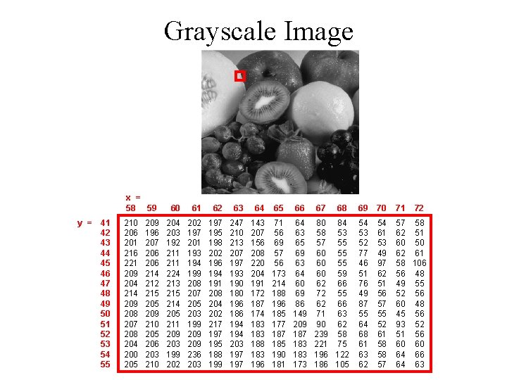 Grayscale Image x = 58 59 y = 41 42 43 44 45 46