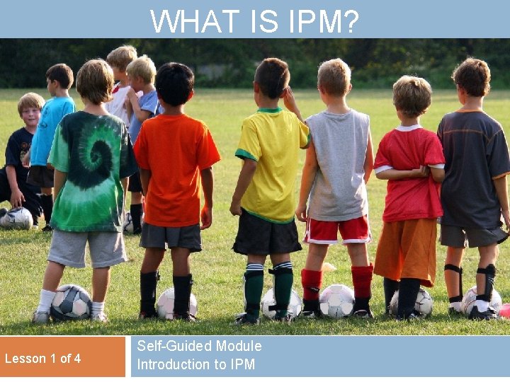 WHAT IS IPM? Lesson 1 of 4 Self-Guided Module Introduction to IPM 