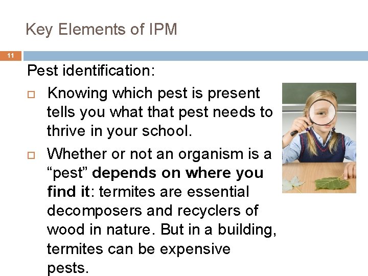 4. Key Elements of IPM 11 Pest identification: Knowing which pest is present tells