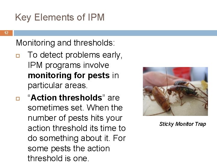 4. Key Elements of IPM 12 Monitoring and thresholds: To detect problems early, IPM