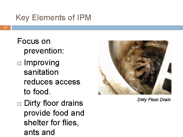 Key Elements of IPM 13 Focus on prevention: Improving sanitation reduces access to food.