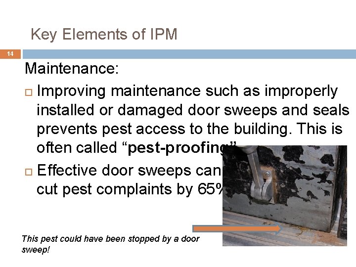 Key Elements of IPM 14 Maintenance: Improving maintenance such as improperly installed or damaged