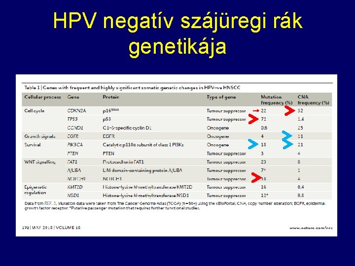 HPV negatív szájüregi rák genetikája 