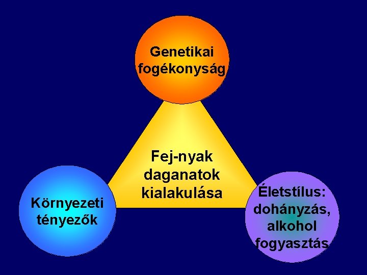 Genetikai fogékonyság Környezeti tényezők Fej-nyak daganatok kialakulása Életstílus: dohányzás, alkohol fogyasztás 