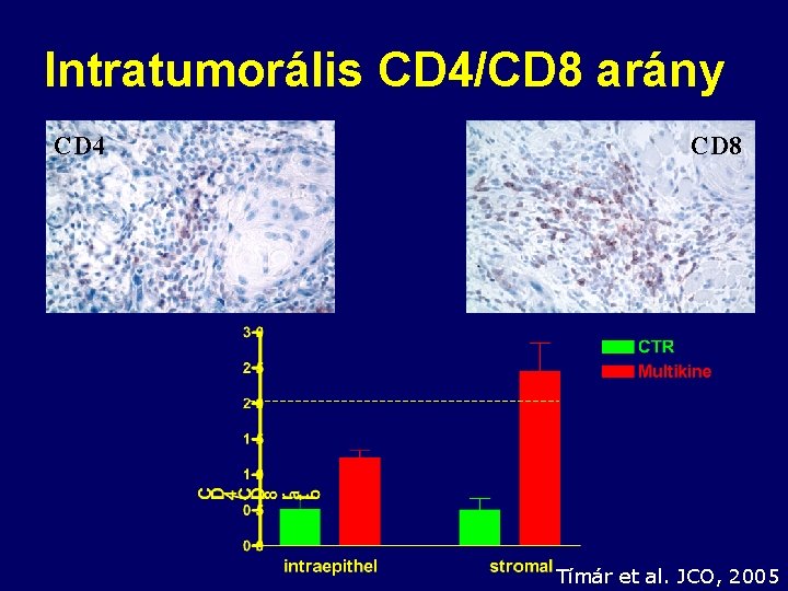 Intratumorális CD 4/CD 8 arány CD 4 CD 8 Tímár et al. JCO, 2005