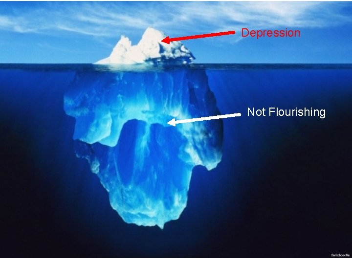 Depression Not Flourishing Depression Not Flourishing