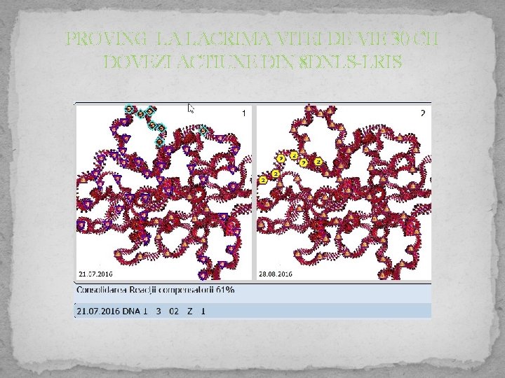 PROVING LA LACRIMA VITEI DE VIE 30 CH DOVEZI ACTIUNE DIN 8 DNLS-LRIS 