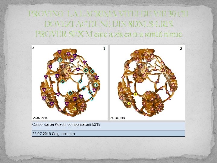 PROVING LA LACRIMA VITEI DE VIE 30 CH DOVEZI ACTIUNE DIN 8 DNLS-LRIS PROVER