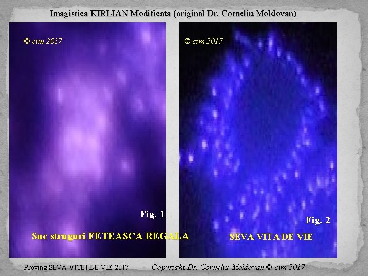 Imagistica KIRLIAN Modificata (original Dr. Corneliu Moldovan) © cim 2017 Fig. 1 Suc struguri