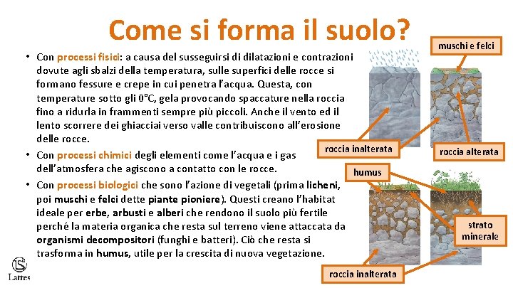 Come si forma il suolo? • Con processi fisici: a causa del susseguirsi di