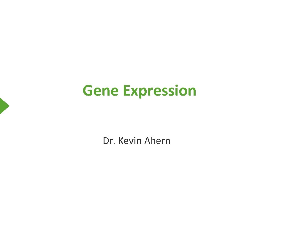 Gene Expression Dr. Kevin Ahern 