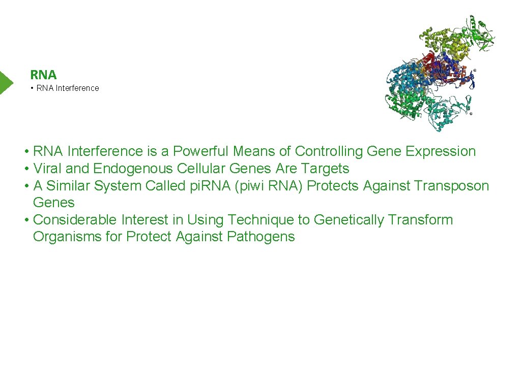 RNA • RNA Interference is a Powerful Means of Controlling Gene Expression • Viral