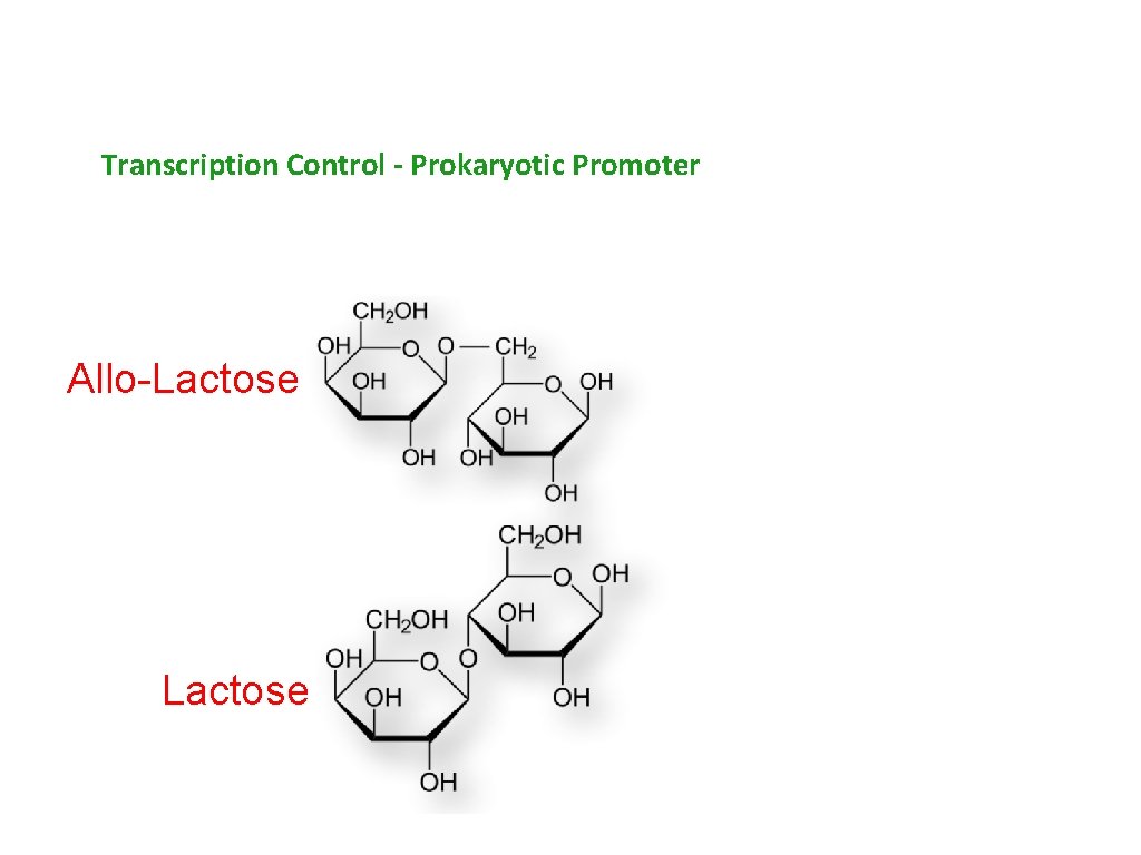 Transcription Control - Prokaryotic Promoter Allo-Lactose 