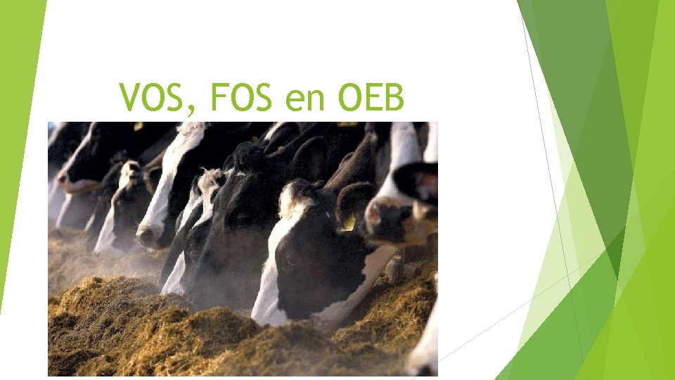 VOS, FOS en OEB 