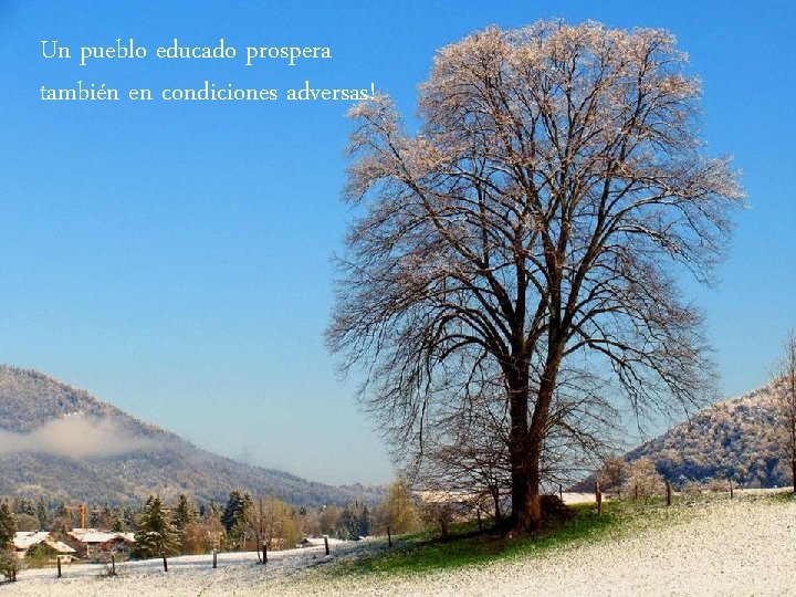 Un pueblo educado prospera también en condiciones adversas! 