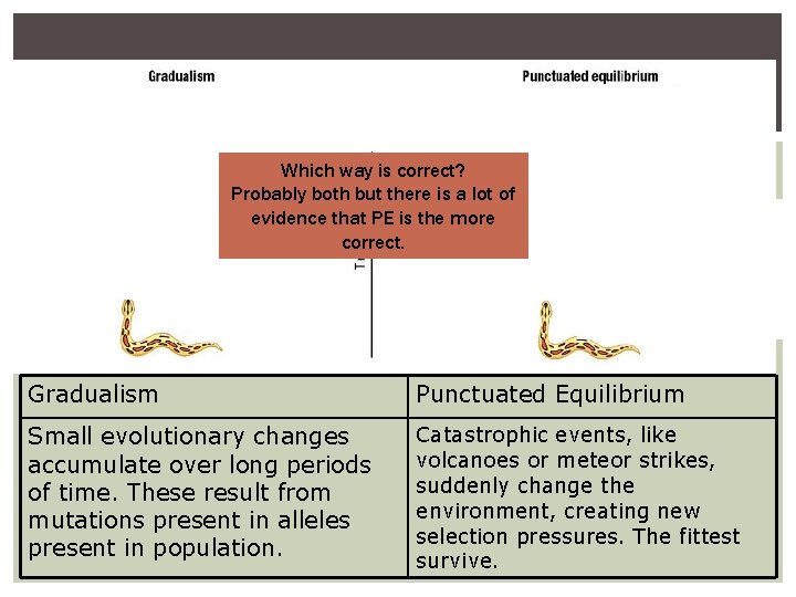 Which way is correct? Probably both but there is a lot of evidence that