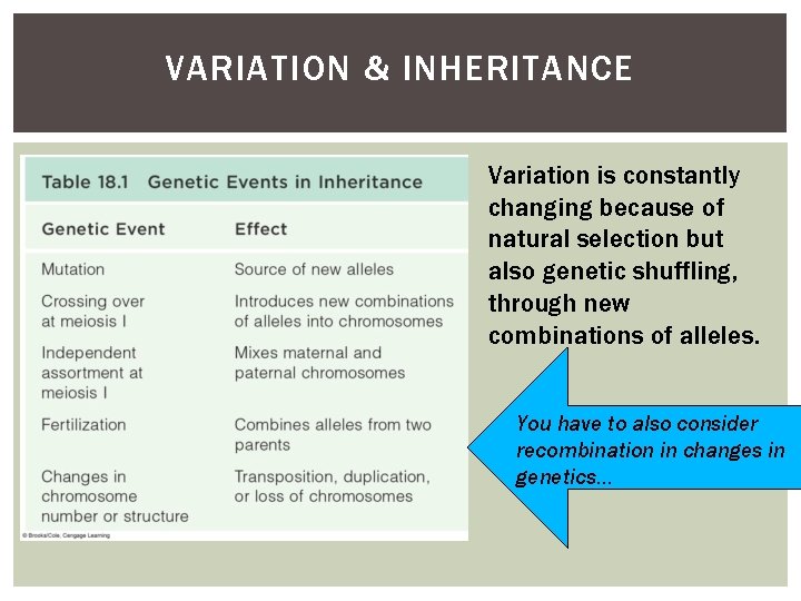 VARIATION & INHERITANCE Variation is constantly changing because of natural selection but also genetic