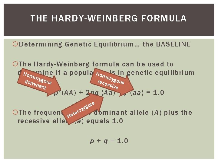 THE HARDY-WEINBERG FORMULA Determining Genetic Equilibrium… the BASELINE The Hardy-Weinberg formula can be used
